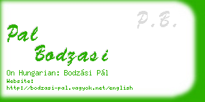pal bodzasi business card